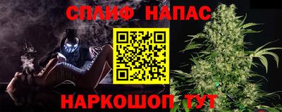 прущие грибы Чебаркуль
