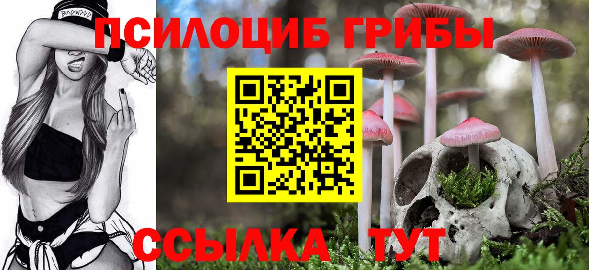 Мелеуз  Галлюциногенные грибы прущие грибы  Вход с VPN 